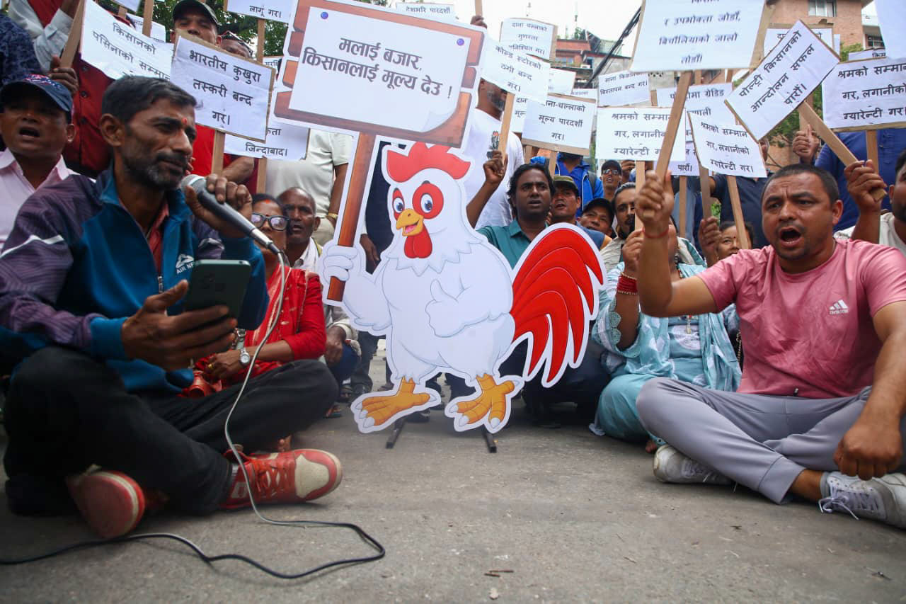 पोल्ट्री किसानद्वारा माइतीघरमा प्रदर्शन